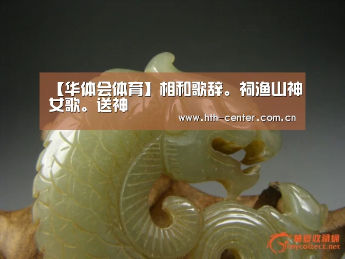 华体会体育