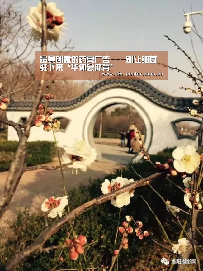 华体会体育