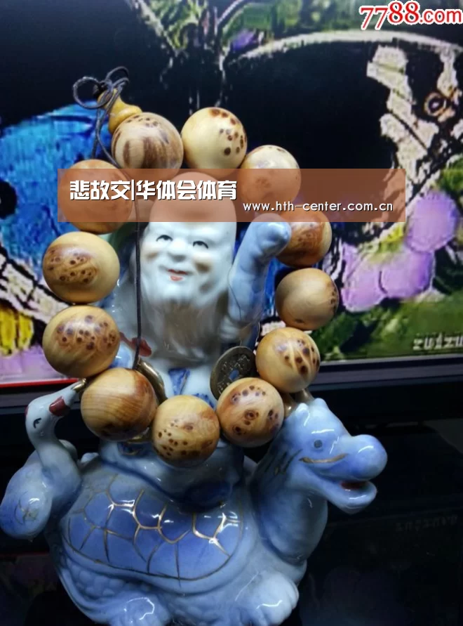 华体会体育