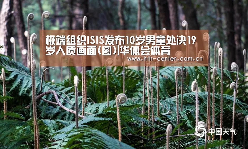 极端组织ISIS发布10岁男童处决19岁人质画面(图)|华体会体育(图3) 华体会体育