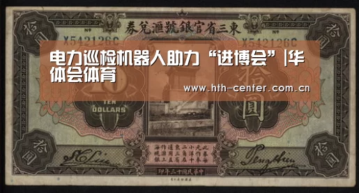 电力巡检机器人助力“进博会”|华体会体育(图2) 华体会体育