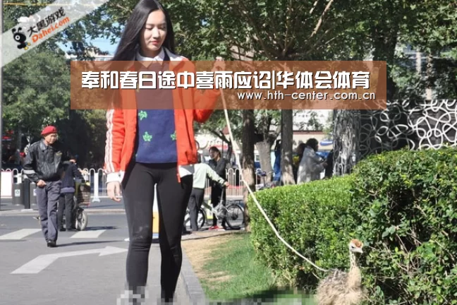 华体会体育