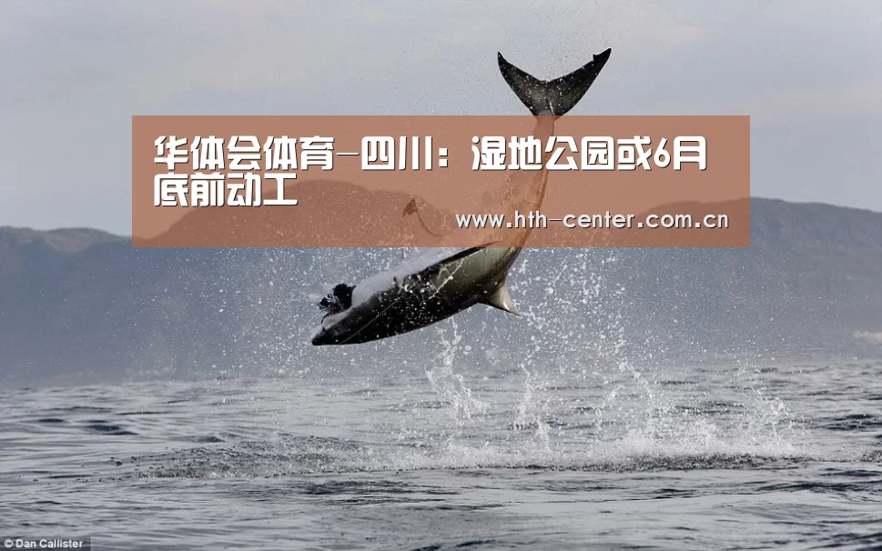 华体会体育