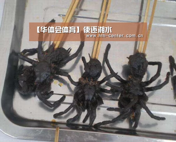 华体会体育