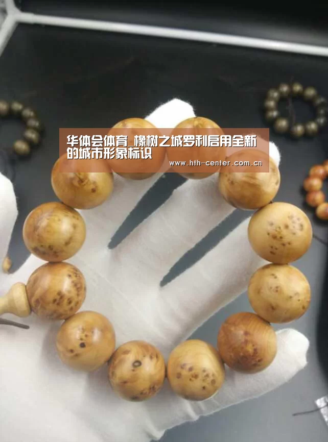 华体会体育