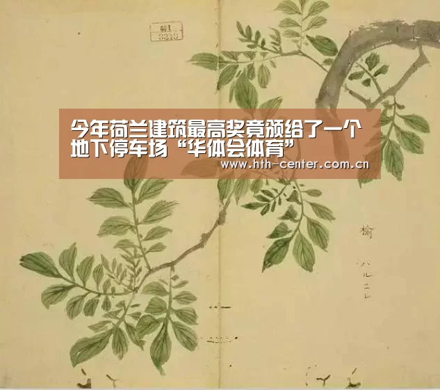 华体会体育